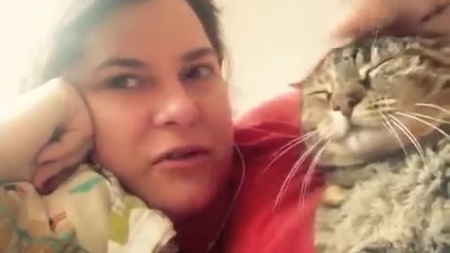 Adorable cat refuses kisses on head #shorts