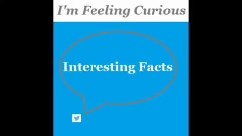 OK Google Now:I'm Feeling Curious,Interesting Facts,Google Search