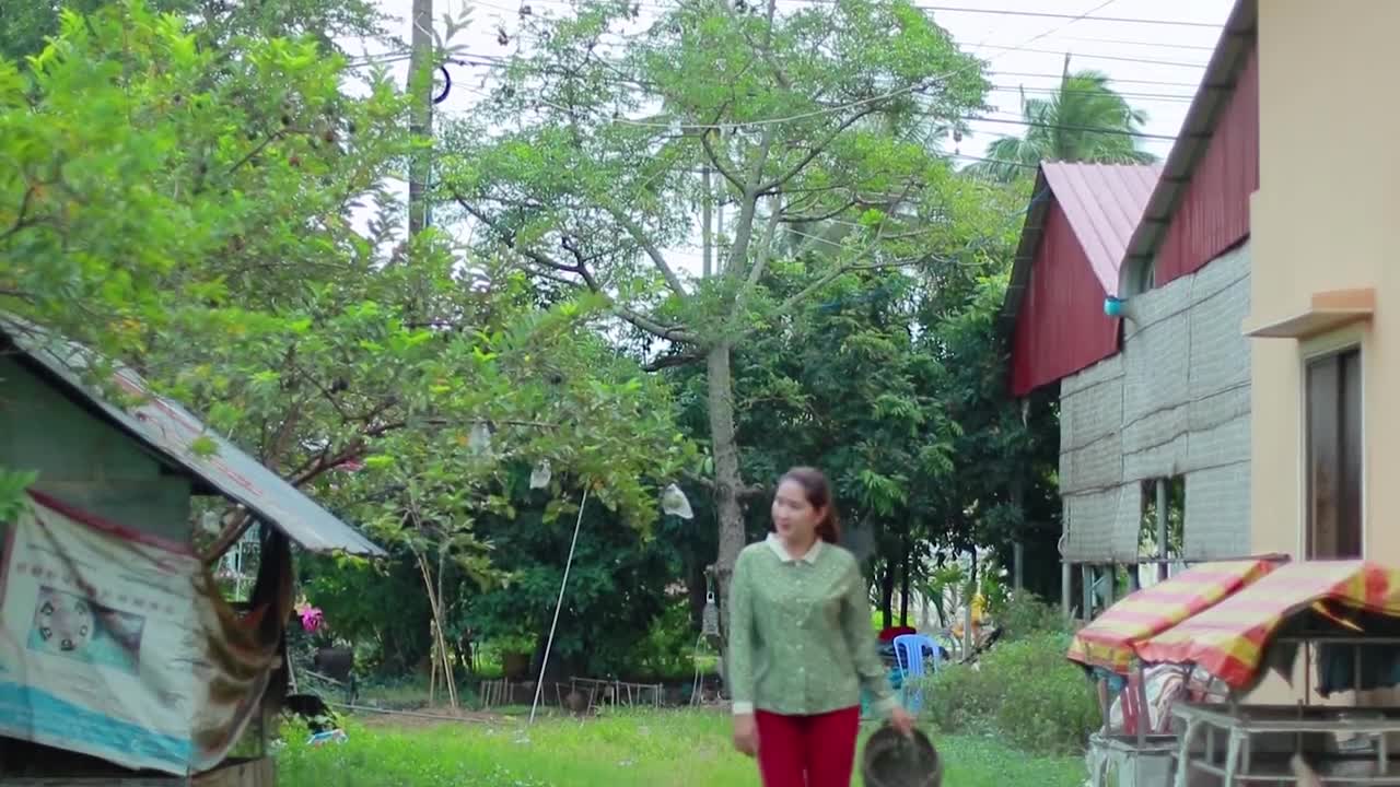 Eating natural sesbania flower with tiny shrimp past