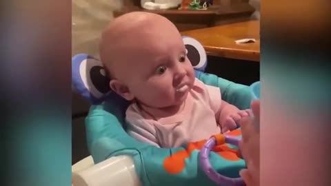 Just Laugh Kids Funny Collection With Animal || Kids Videos