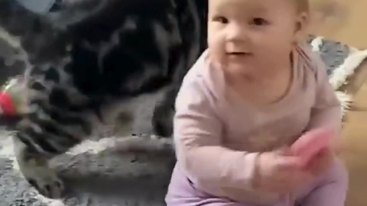 Cute Cats & Funny Cats 😍😍😅😅 #cats #reels #shorts #viral #pets #cat #mmvcats