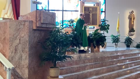 Father Martin Dunne Homily 10/20/24 Mk:10:35-45