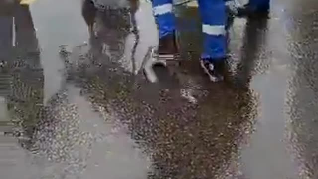 Stretchered Out After Vaccination