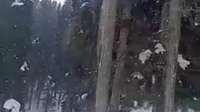 Snow way