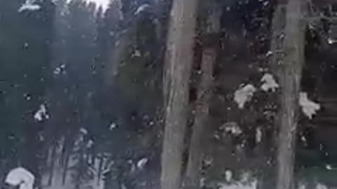 Snow way