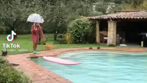 Sabri Virals ' the end 😂 '