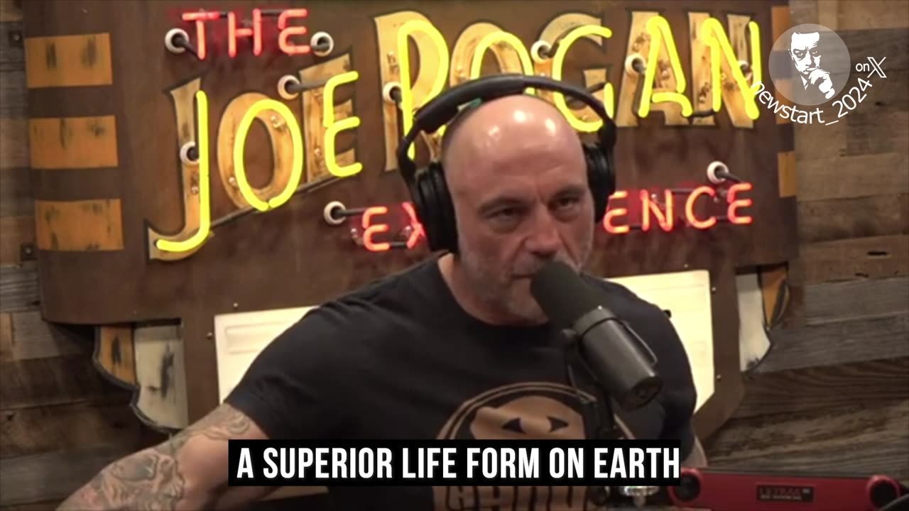 Joe Rogan and Peter Thiel about what's causing low birth rates all over the world