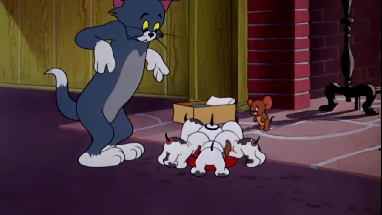 Tom and Jerry Collection Video! #ClassicCartoons #TomAndJerry #Animation #oldcartoon