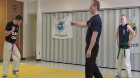 Street Effective Hapkido