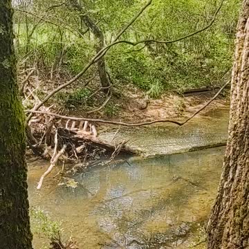 A nice little spring