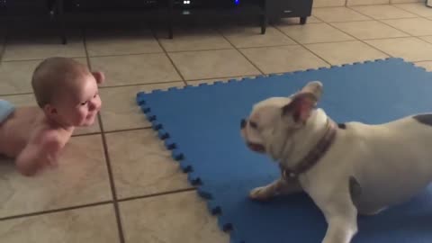 The dog makes the baby laugh