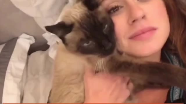 Let's Laugh, Funny Pets 😹🐶🐺😽