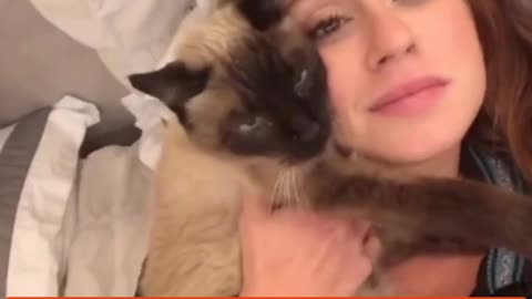 Let's Laugh, Funny Pets 😹🐶🐺😽