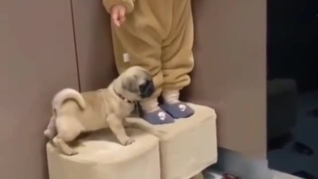Funny Kids and Animals