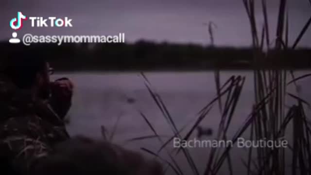 Bachmann Boutique Commercial
