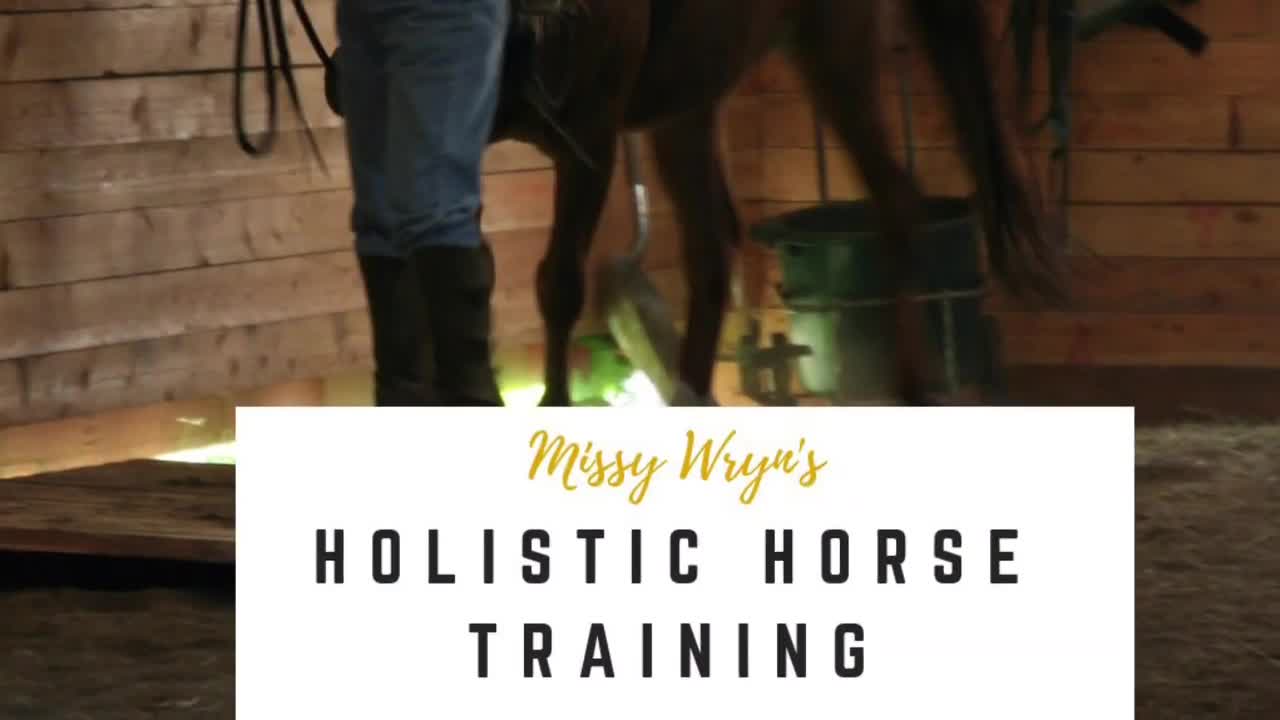 How to ride horse - HorseRiding Learning Lesson Part 1