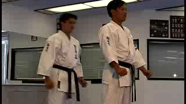 Hapkido