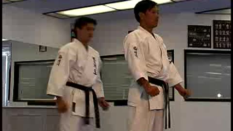 Hapkido