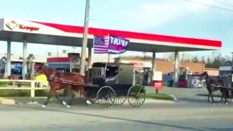 EVEN THE AMISH KNOW WHAT TIME IT IS!!!🇺🇸🥳🥳🥳