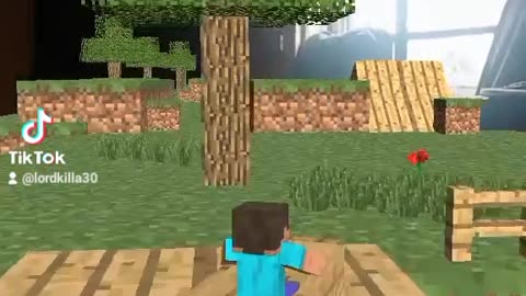 Minecraft crazy road