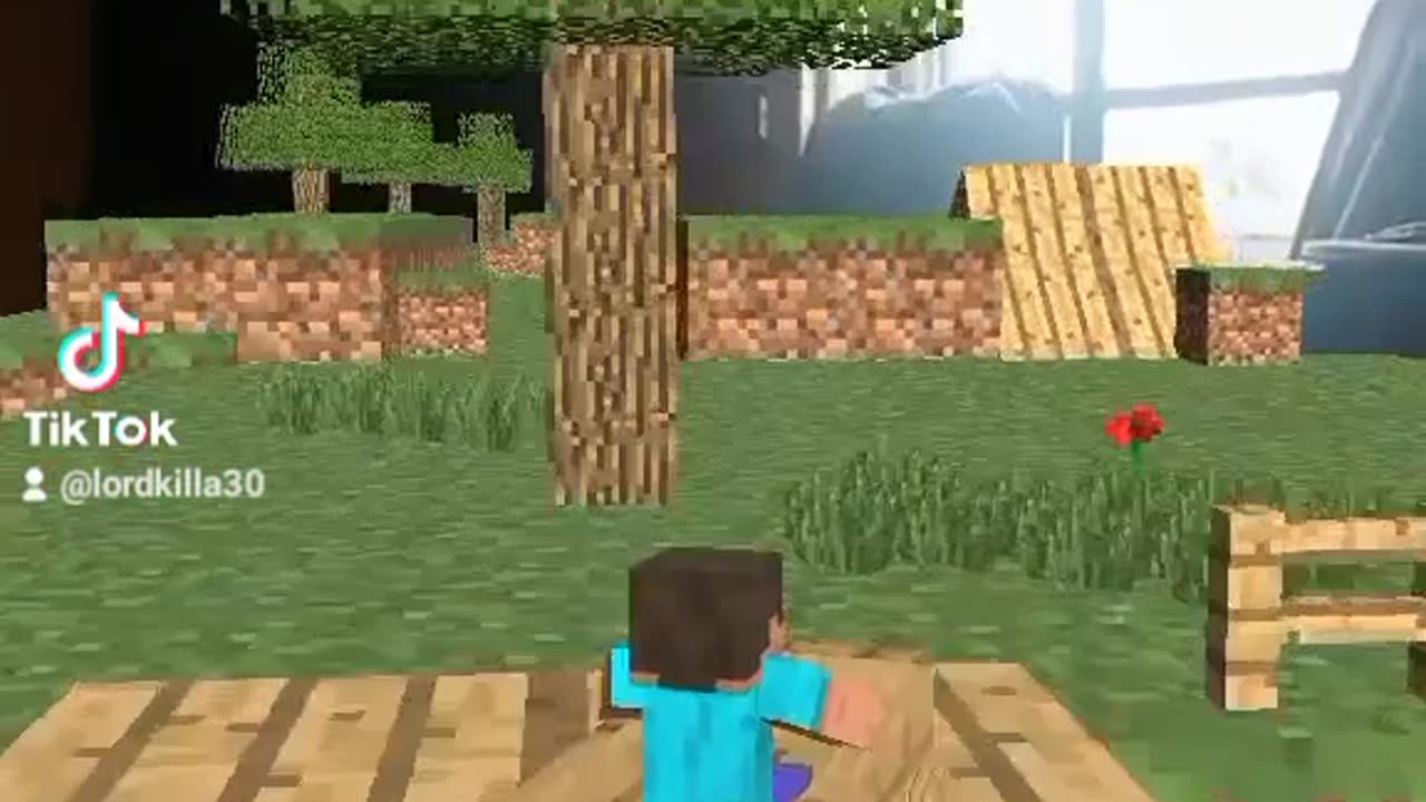 Minecraft crazy road