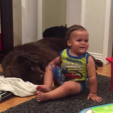 Impagable momento captado entre un bebé y su perro