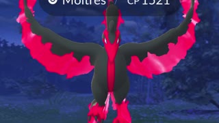 Galarian Moltres