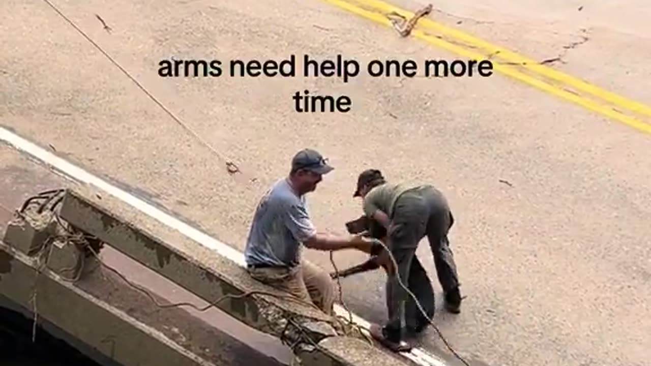 Civilians rescuing Dogs after Hurricane Helene