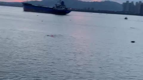 Cargo ships sailing by the sea