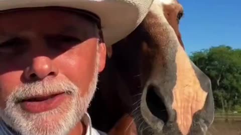 Naming His Horses