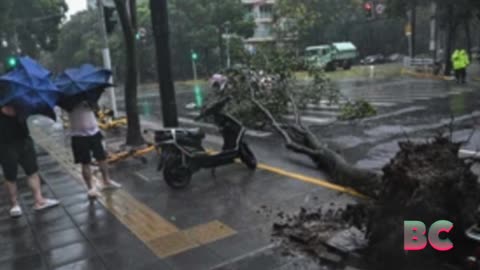 Strongest typhoon since 1949 hits Shanghai and knocks out power to some homes