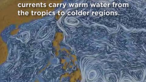 How The Ocean Moves