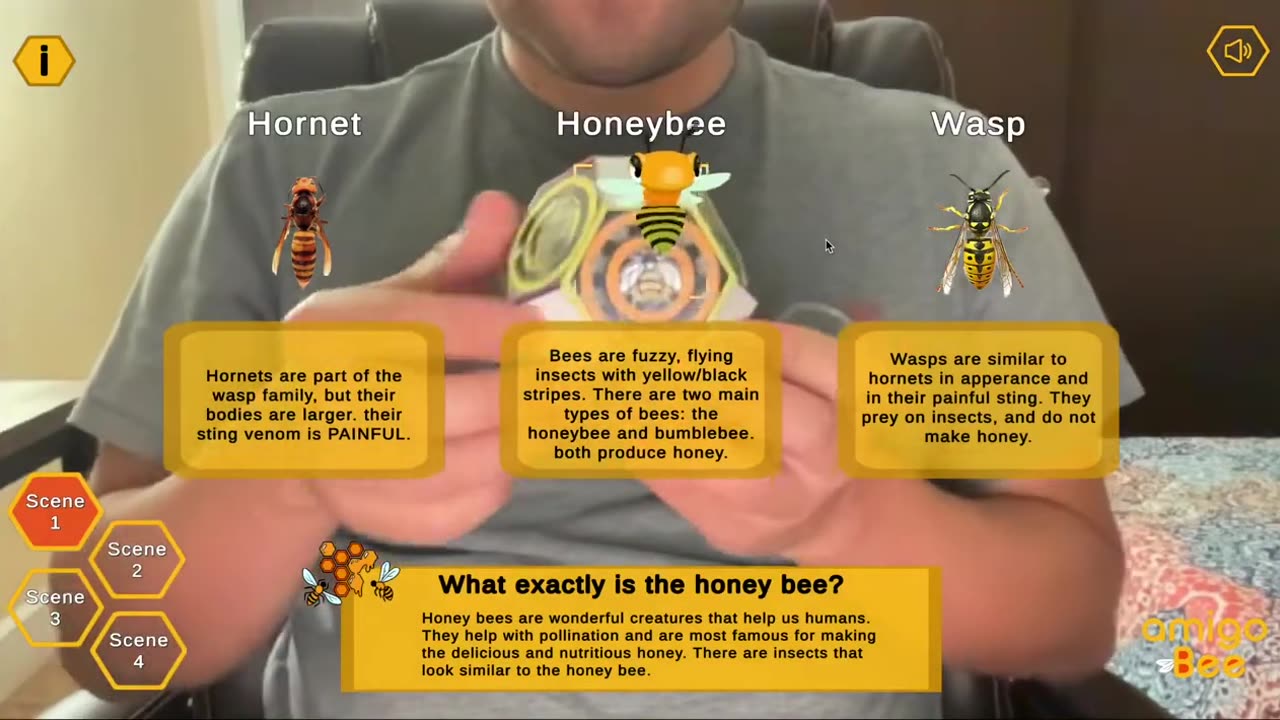 Amigo Bee AR App Demo Video - Erik Soriano