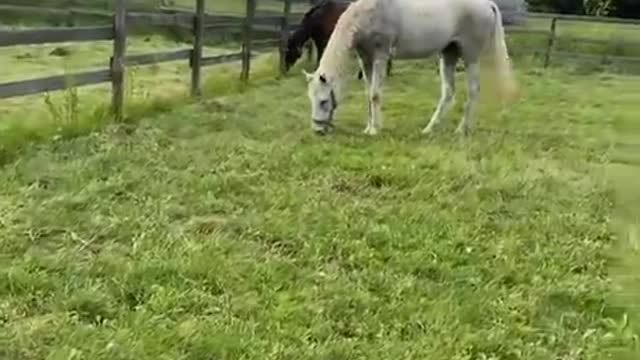 2022-6-26 Turn-out-4