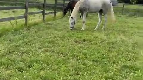 2022-6-26 Turn-out-4