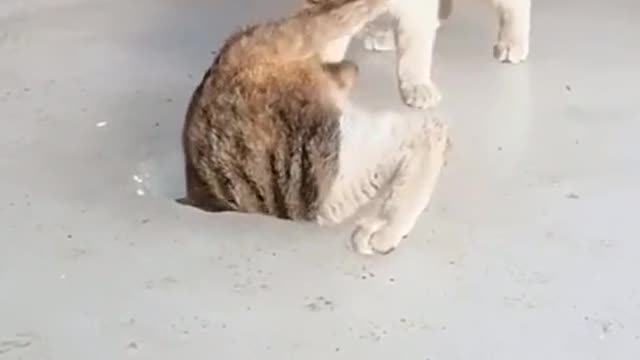 A bad friends