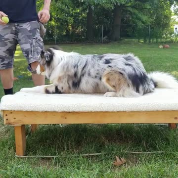 It's all in the game of Fetch part 3 cut 1