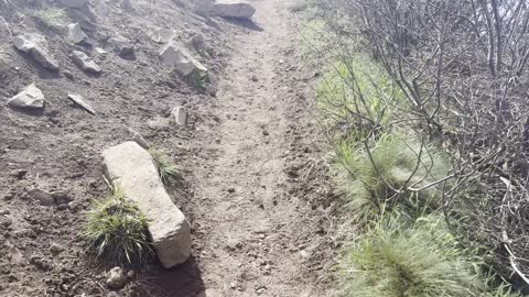 Straight Up Section of Steep Black Butte Trail – Deschutes National Forest – Central Oregon – 4K