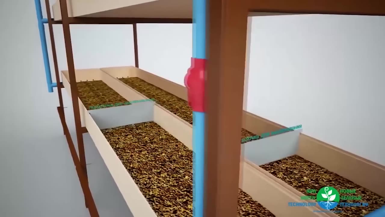 Hydroponic System