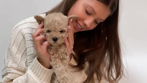 Girls playing with cute puppies