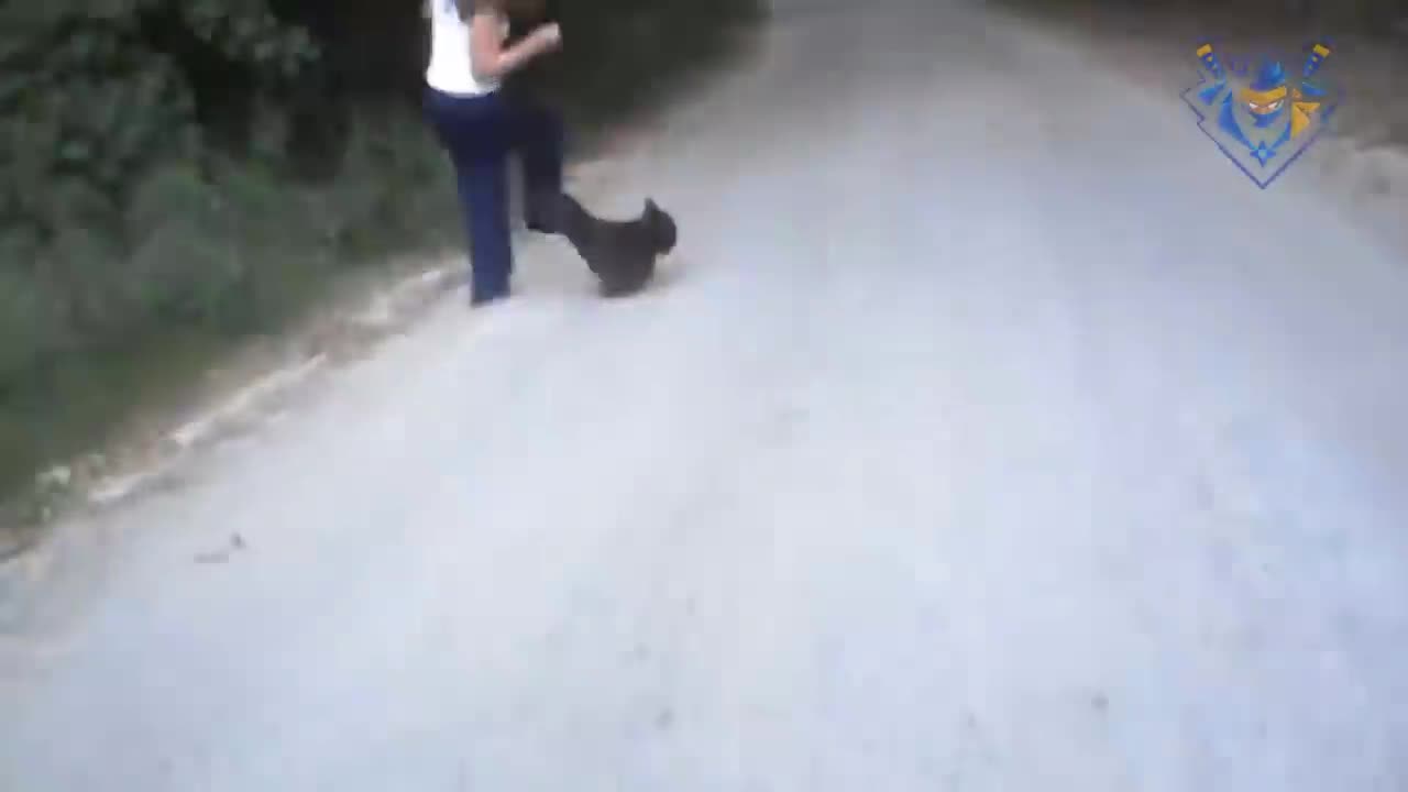 Funny animal attack. 99.99% try very hard to not laugh.