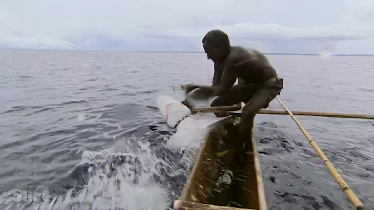 Incredible shark hunting..................