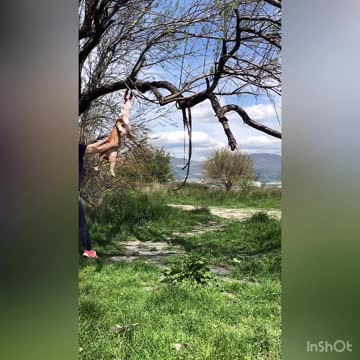 Super athletic doggy can jump over 2 meters