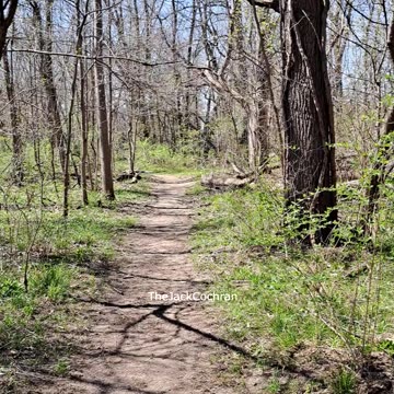 Visual Meditation -- Episode 3 #shorts