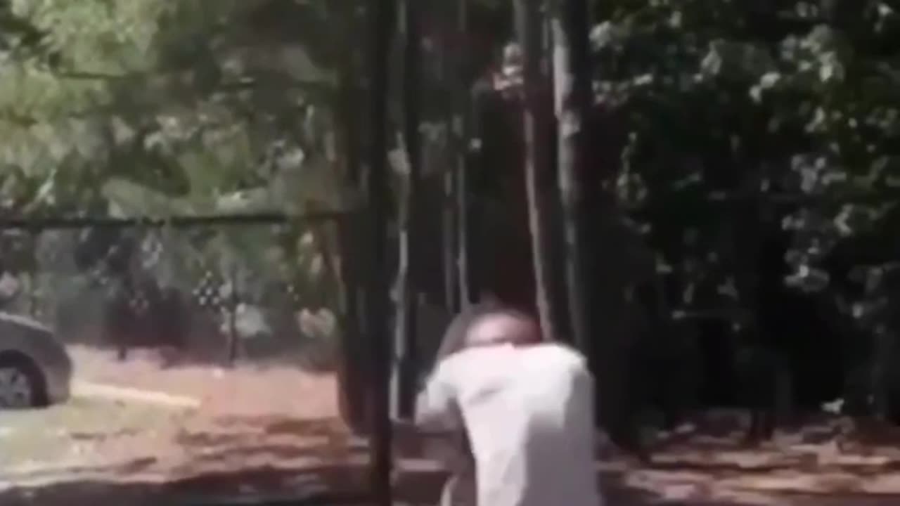 Funny 🤣 😅 video Like comment and follow
