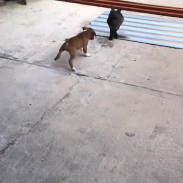 TOO STINKING CUTE!!!!!!!!!!!!!!