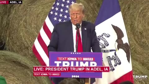 Trump Roasting Joe