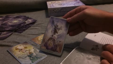 The CUOMO'S gotta GoGo