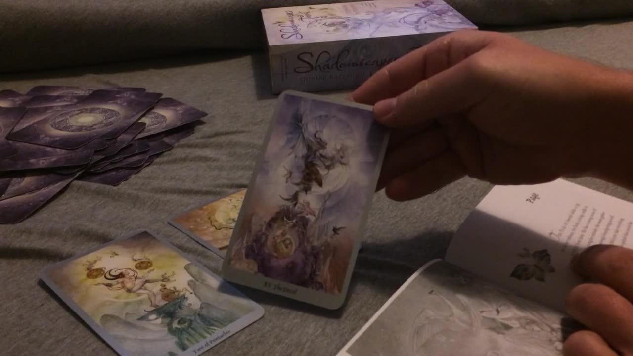 The CUOMO'S gotta GoGo