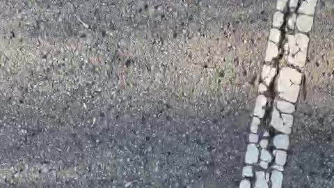 Long boarding in the Winter